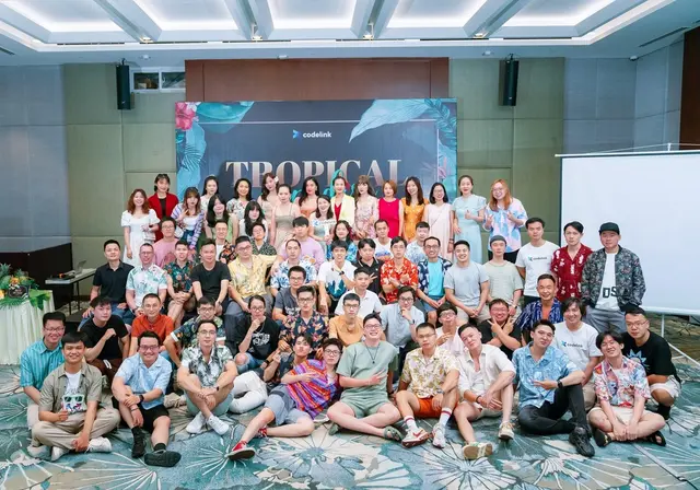 CodeLink History