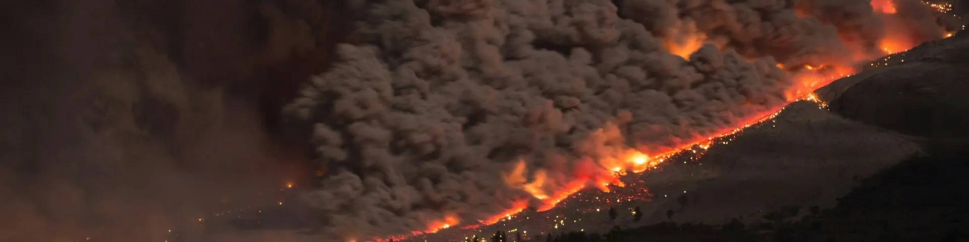 Risk Management Platform