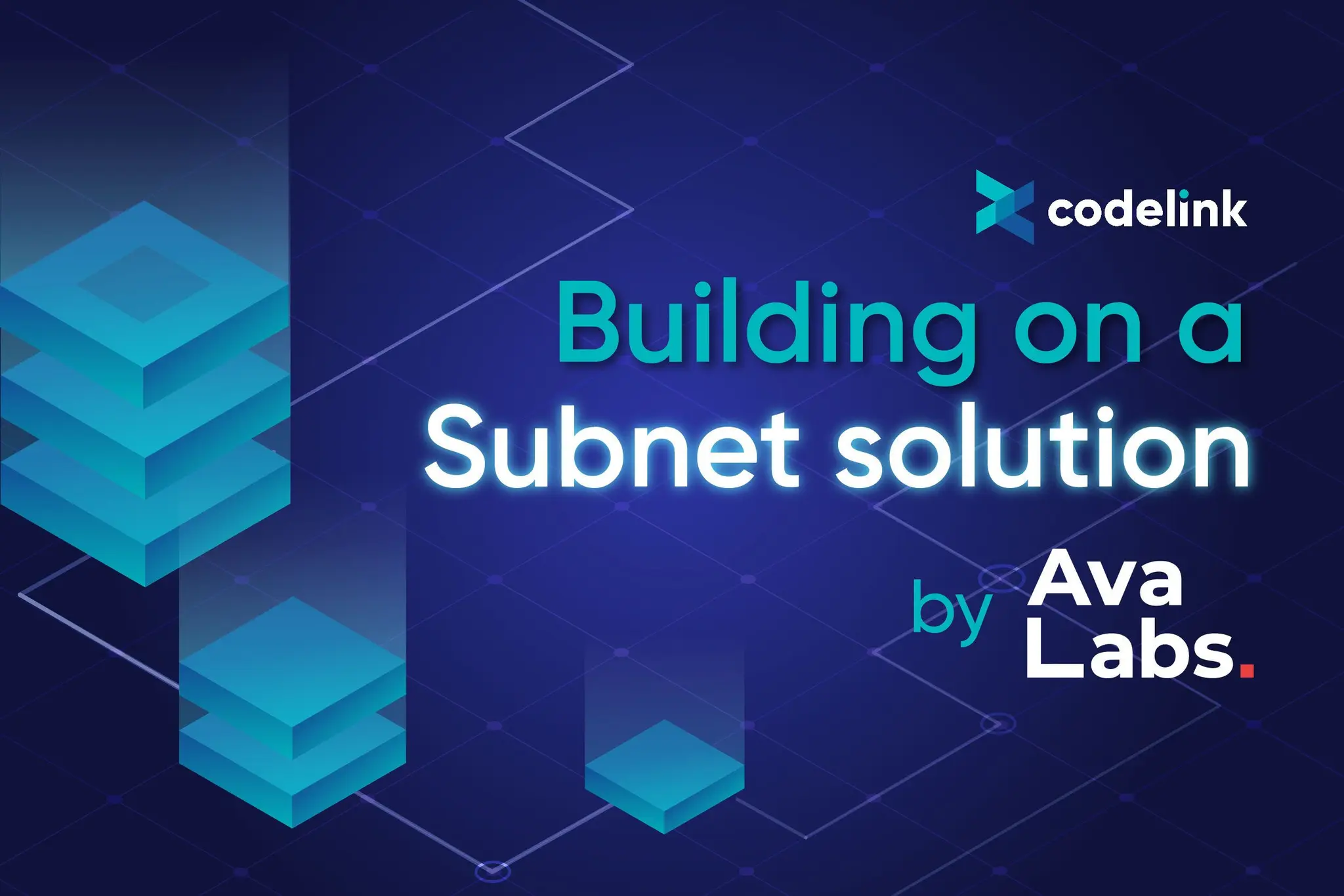 Building on a Subnet solution by Avalanche Subnets