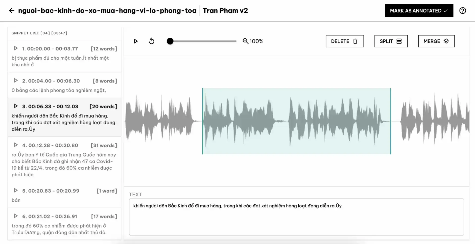 Text-to-Speech Datasets: Building High-Quality Application